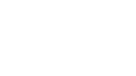 Savi Logo